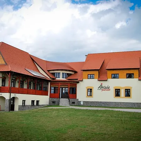 Vendégház Amadé